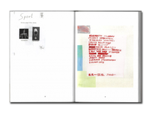 Load image into Gallery viewer, [FORTHCOMING] Sereina Steinemann: Works
