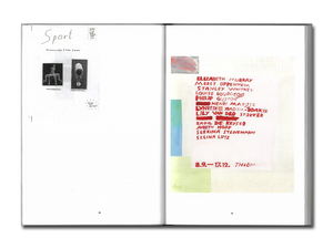 [FORTHCOMING] Sereina Steinemann: Works