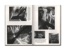 Load image into Gallery viewer, [FORTHCOMING] Lucía C. Pino – You Who Have Beautiful Manners